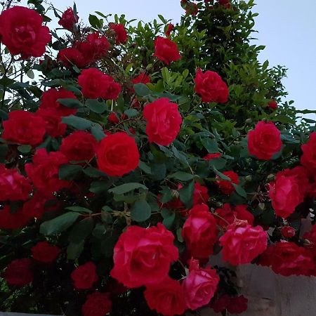 M&A Relax Villa Martina Franca Luaran gambar